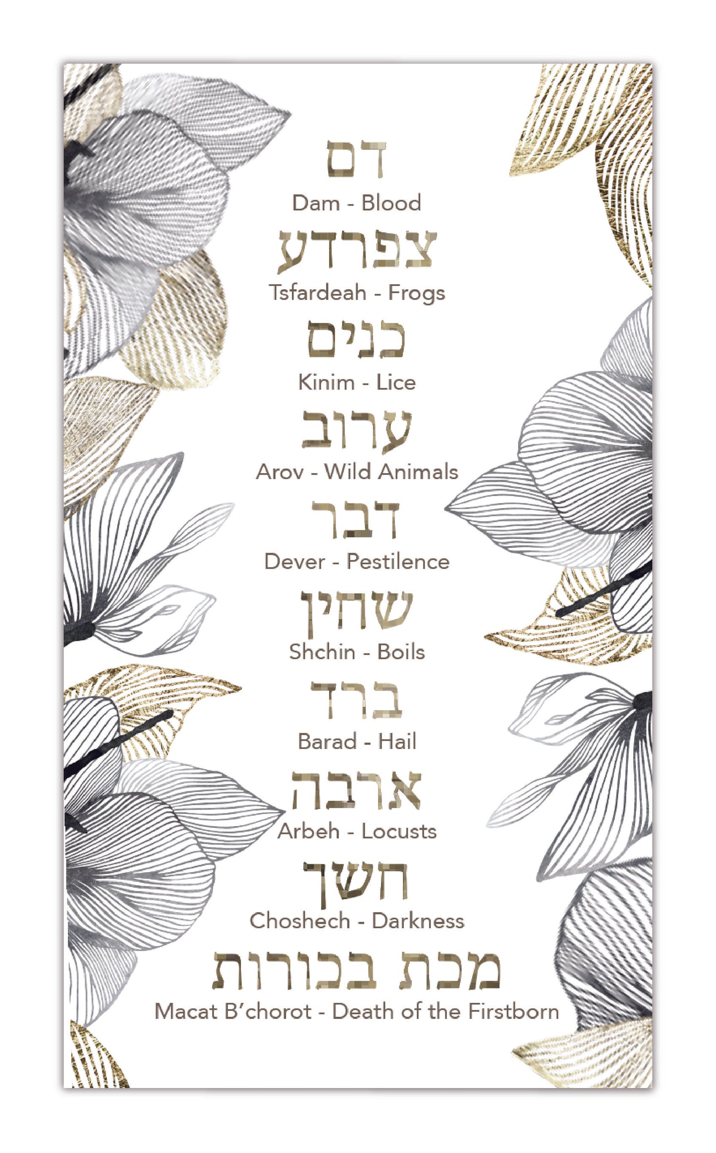 PASSOVER CHAG SAMEACH PAPER PLACEMAT