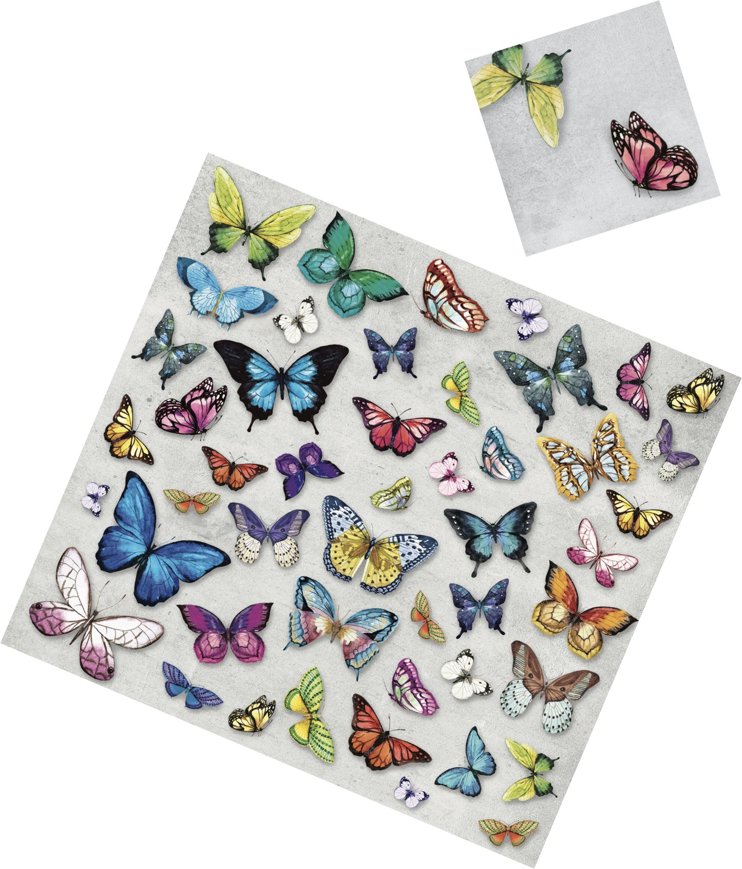 Butterfly Garden Paper Placemat — Set of 12 with Matching Coasters