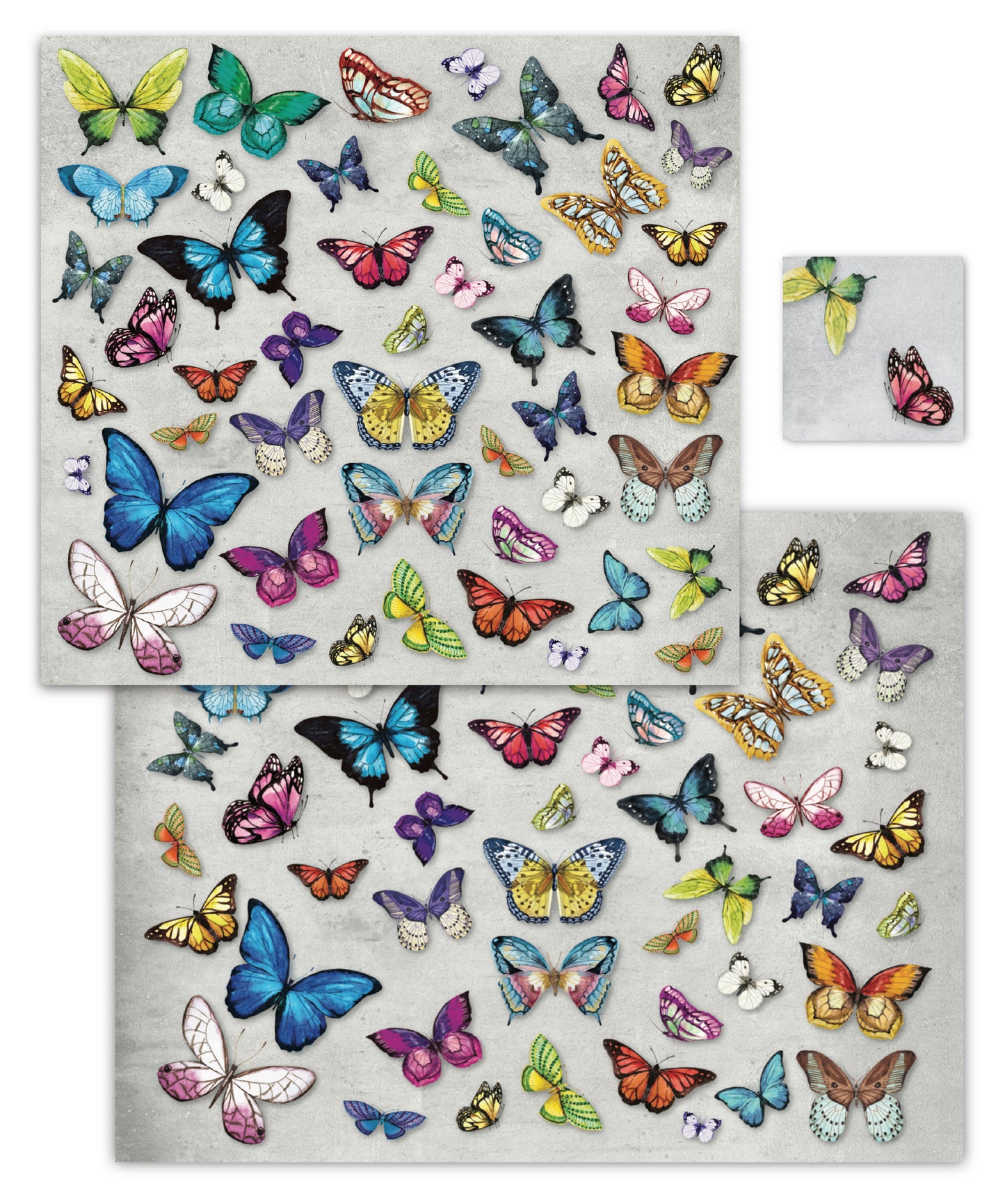 Butterfly Garden Paper Placemat — Set of 12 with Matching Coasters