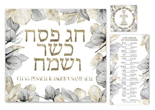 Passover Chag Sameach Paper Placemat