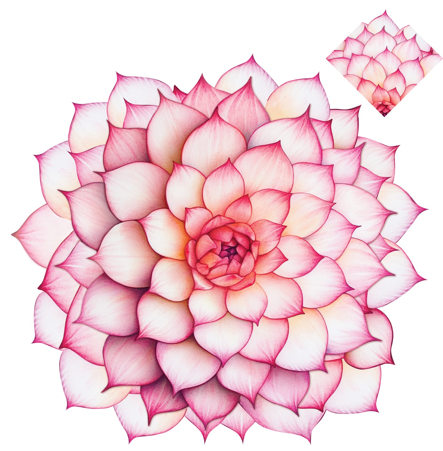 PINK SUCCULENT PAPER PLACEMAT